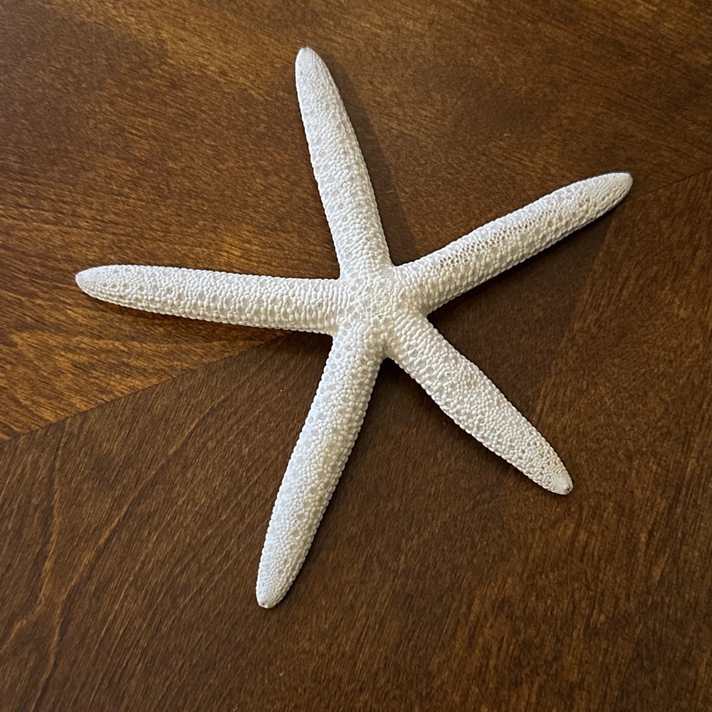 Real/natural Starfish